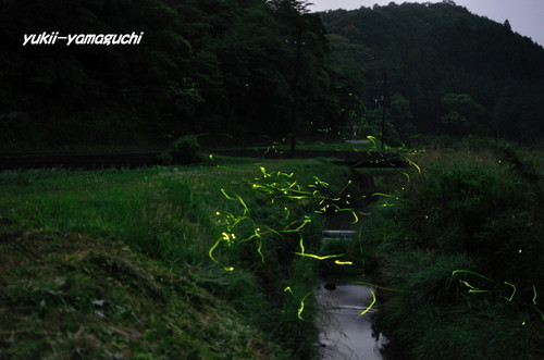 豊田町ほたるⅢ 013.jpg