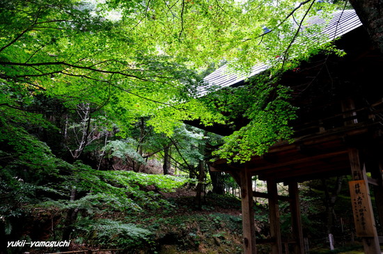 両足寺01.jpg