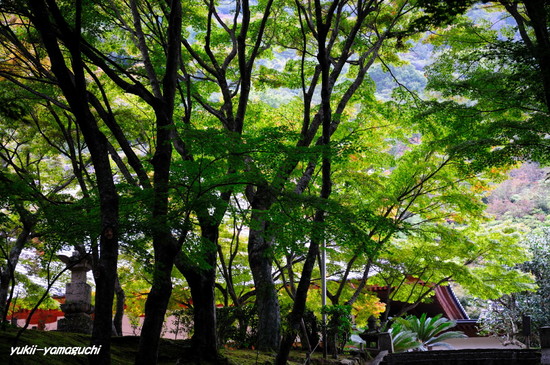 両足寺03.jpg