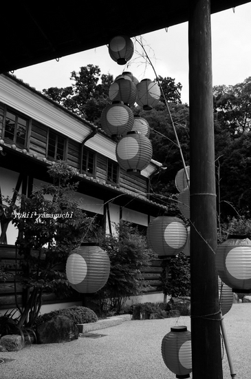 しゃびやま写真展15.jpg