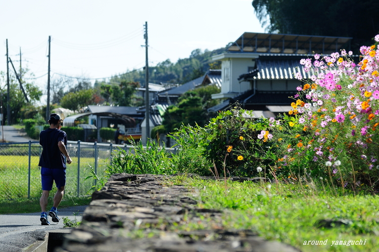 どうかん屋敷07.jpg