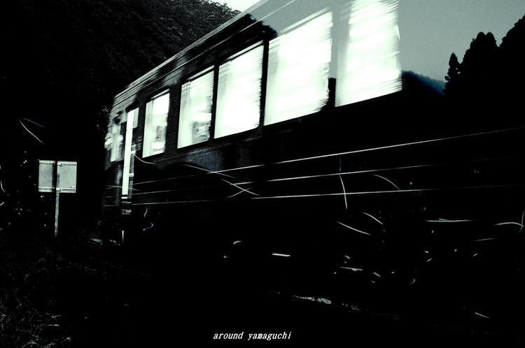 ほたる電車14.jpg