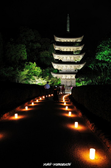 ゆらめき回廊2010-01.jpg