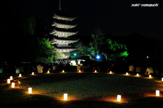 ゆらめき回廊2010-11.jpg