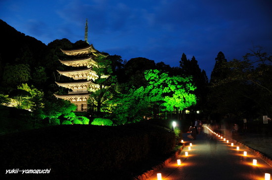 ゆらめき回廊2010-15.jpg