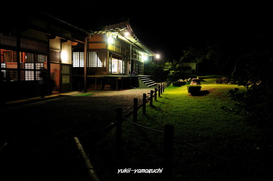 ゆらめき回廊2010-21.jpg