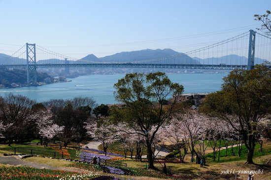 トルコチューリップ園01.jpg
