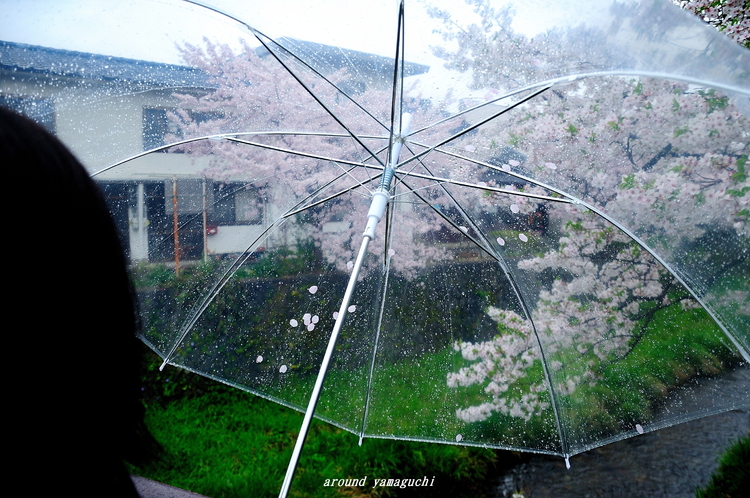 一の坂06.jpg
