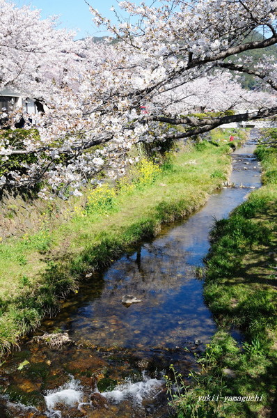 一の坂10.jpg