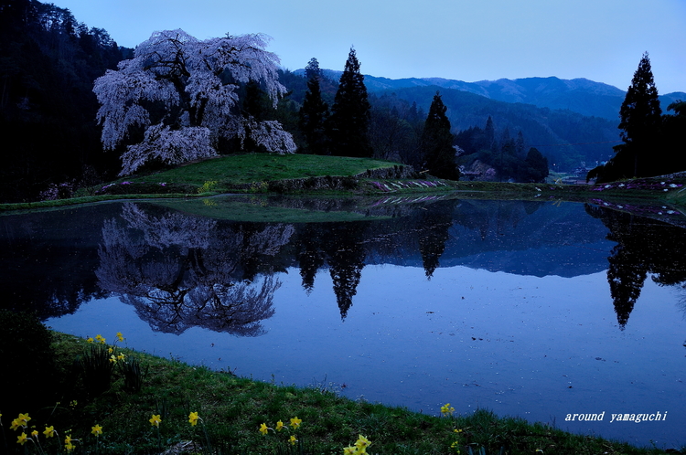 与一野03.jpg