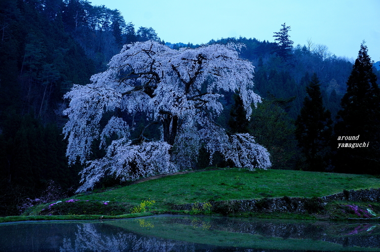 与一野06.jpg