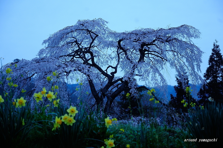 与一野07.jpg