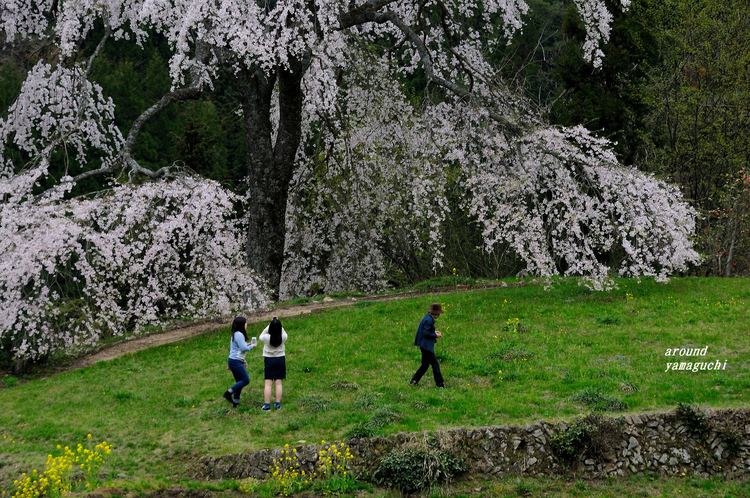 与一野14.jpg