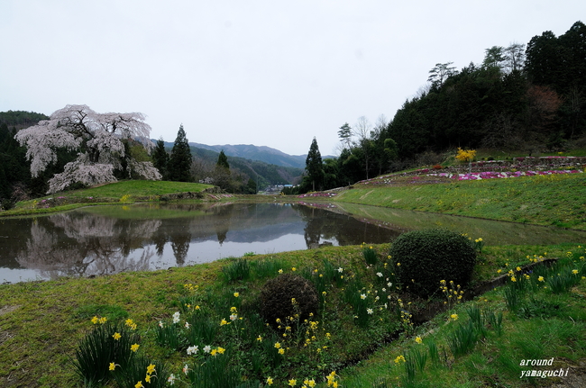 与一野20.jpg