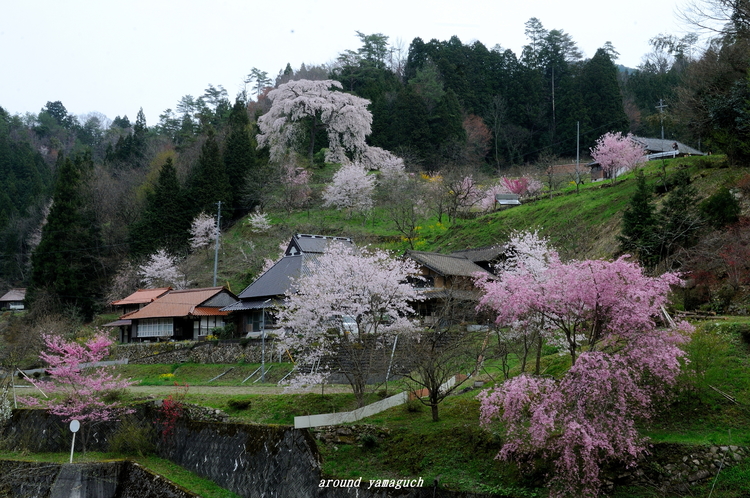 与一野21.jpg