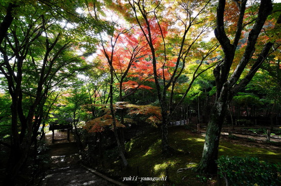 両足寺03.jpg