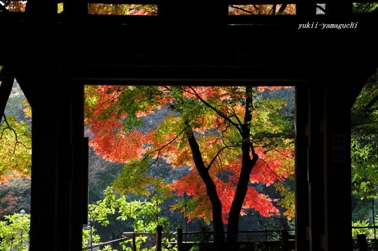 両足寺04.jpg