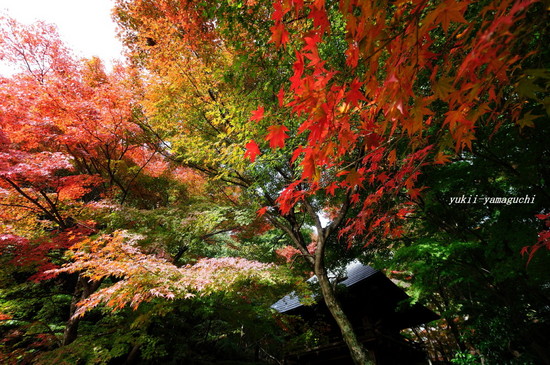 両足寺05.jpg