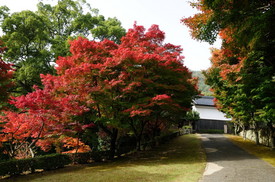両足寺1112 003.JPG
