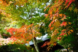 両足寺1112 008.JPG