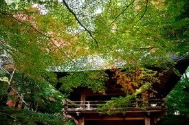 両足寺1112 010.JPG