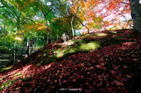 両足寺1118-02.jpg