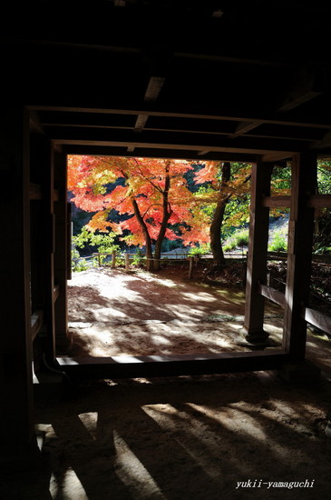 両足寺1118-07.jpg