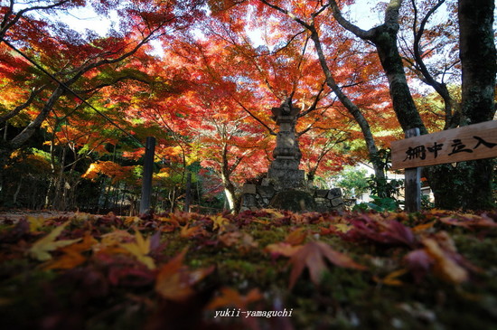 両足寺1118-27.jpg