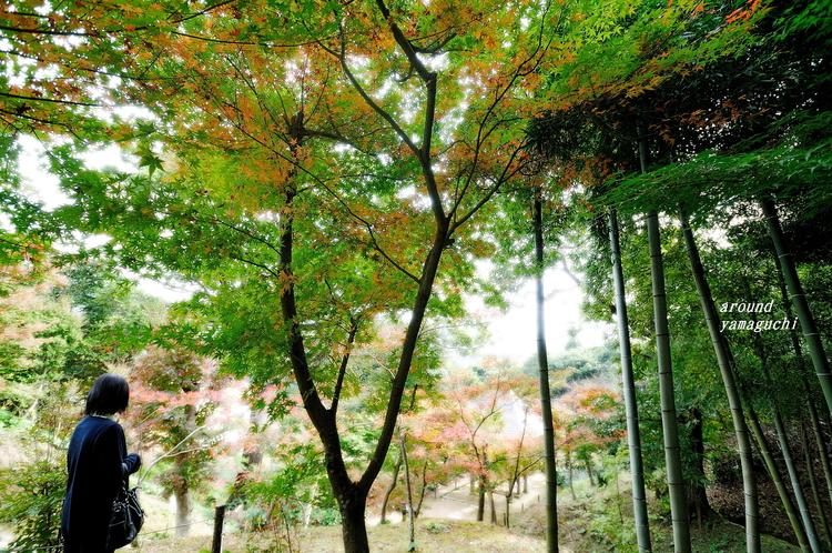 両足寺21.jpg