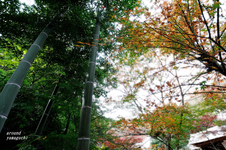 両足寺22.jpg