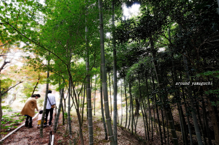 両足寺23.jpg