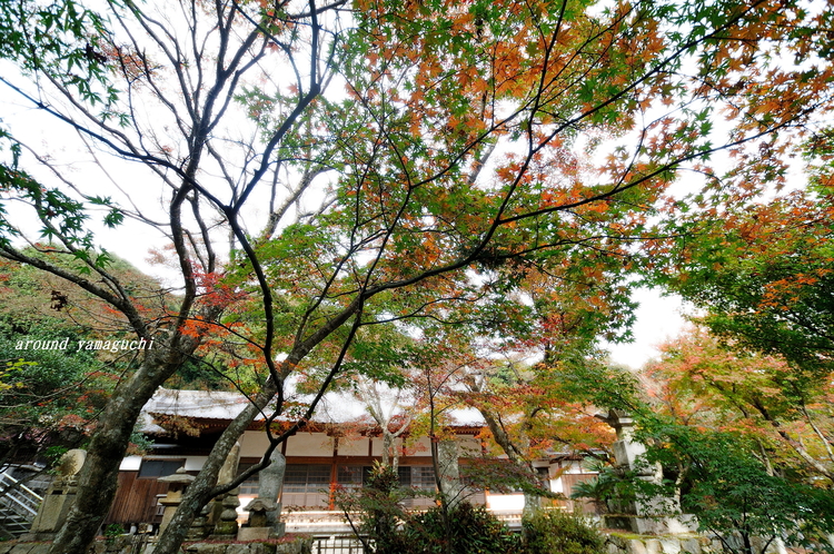 両足寺24.jpg