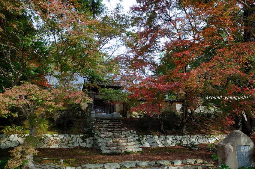 乗福寺01.jpg
