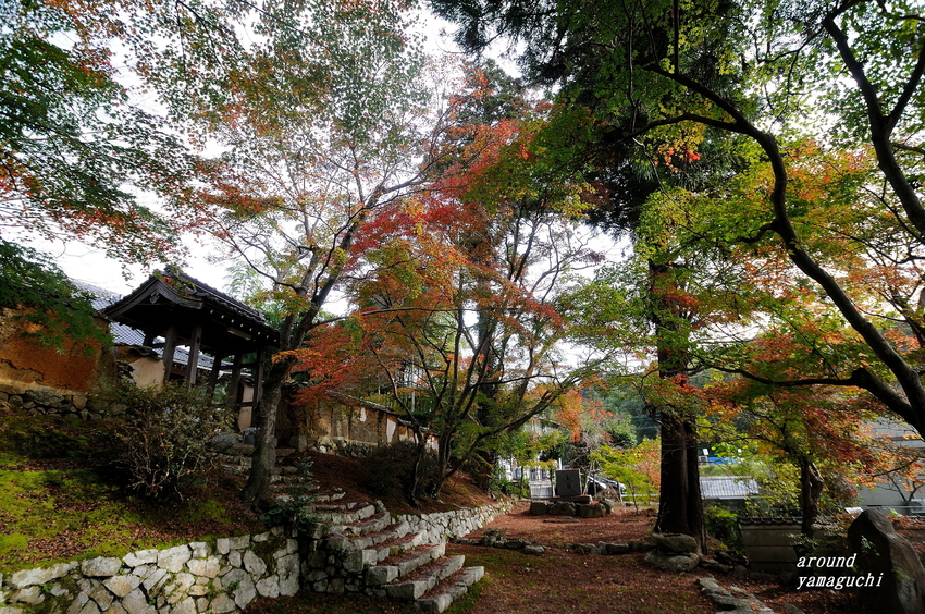 乗福寺02.jpg