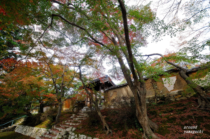 乗福寺03.jpg