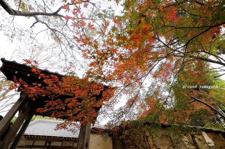 乗福寺04.jpg
