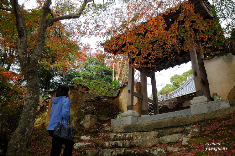 乗福寺05.jpg