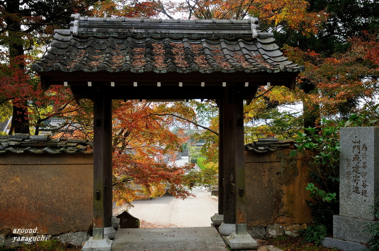 乗福寺06.jpg