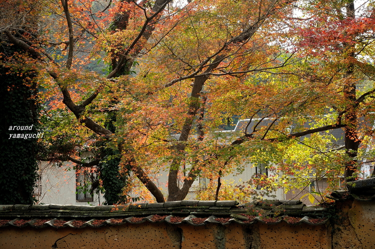 乗福寺07.jpg