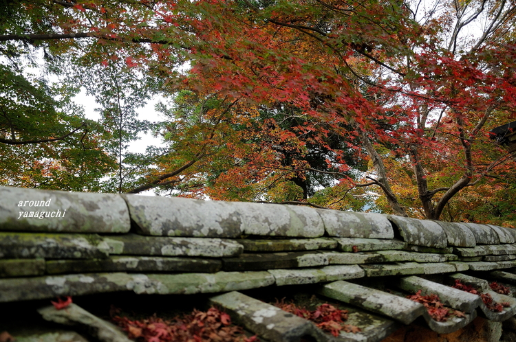 乗福寺08.jpg
