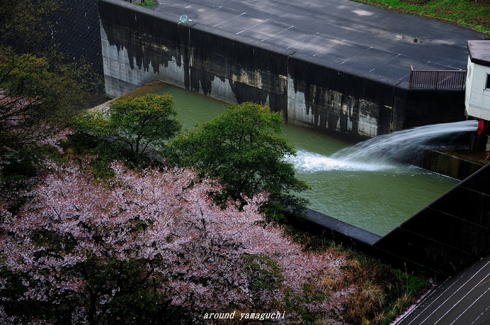 今富ダム02.jpg