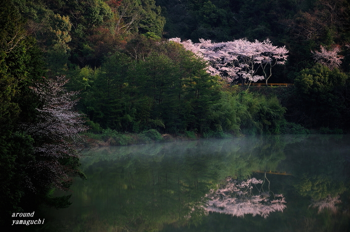 今富ダム03.jpg