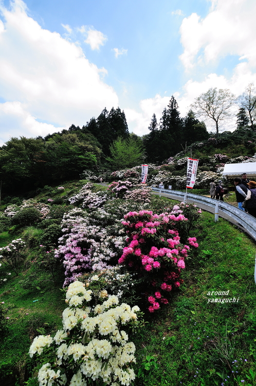 俵山02.jpg