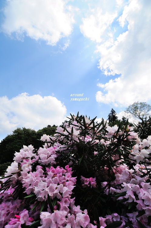 俵山05.jpg
