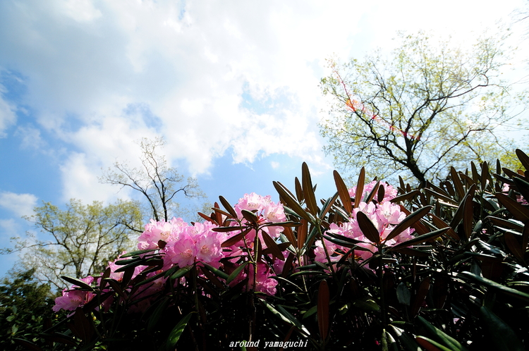 俵山09.jpg