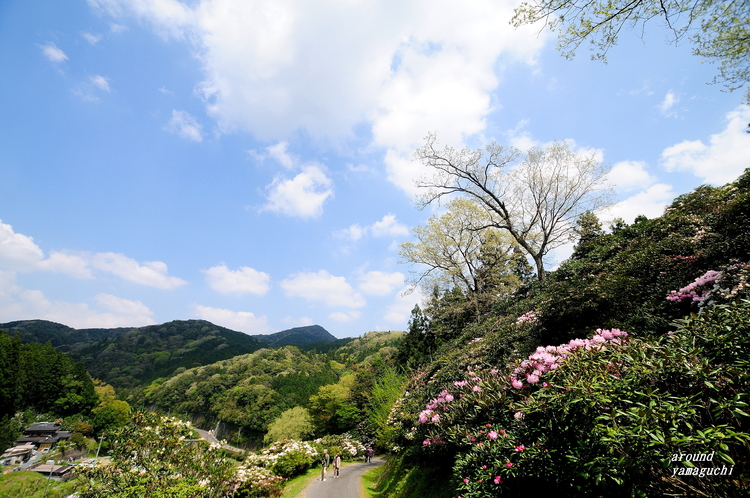 俵山10.jpg