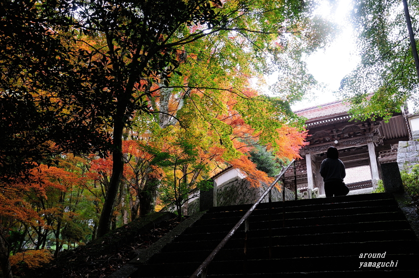 俵山西念寺02.jpg