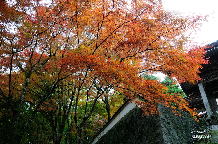 俵山西念寺04.jpg