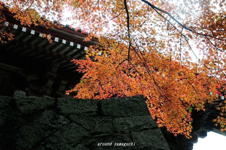 俵山西念寺05.jpg