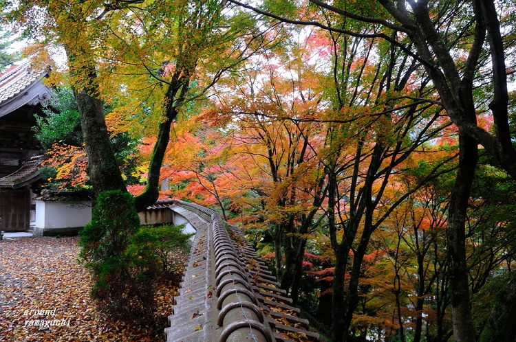 俵山西念寺06.jpg